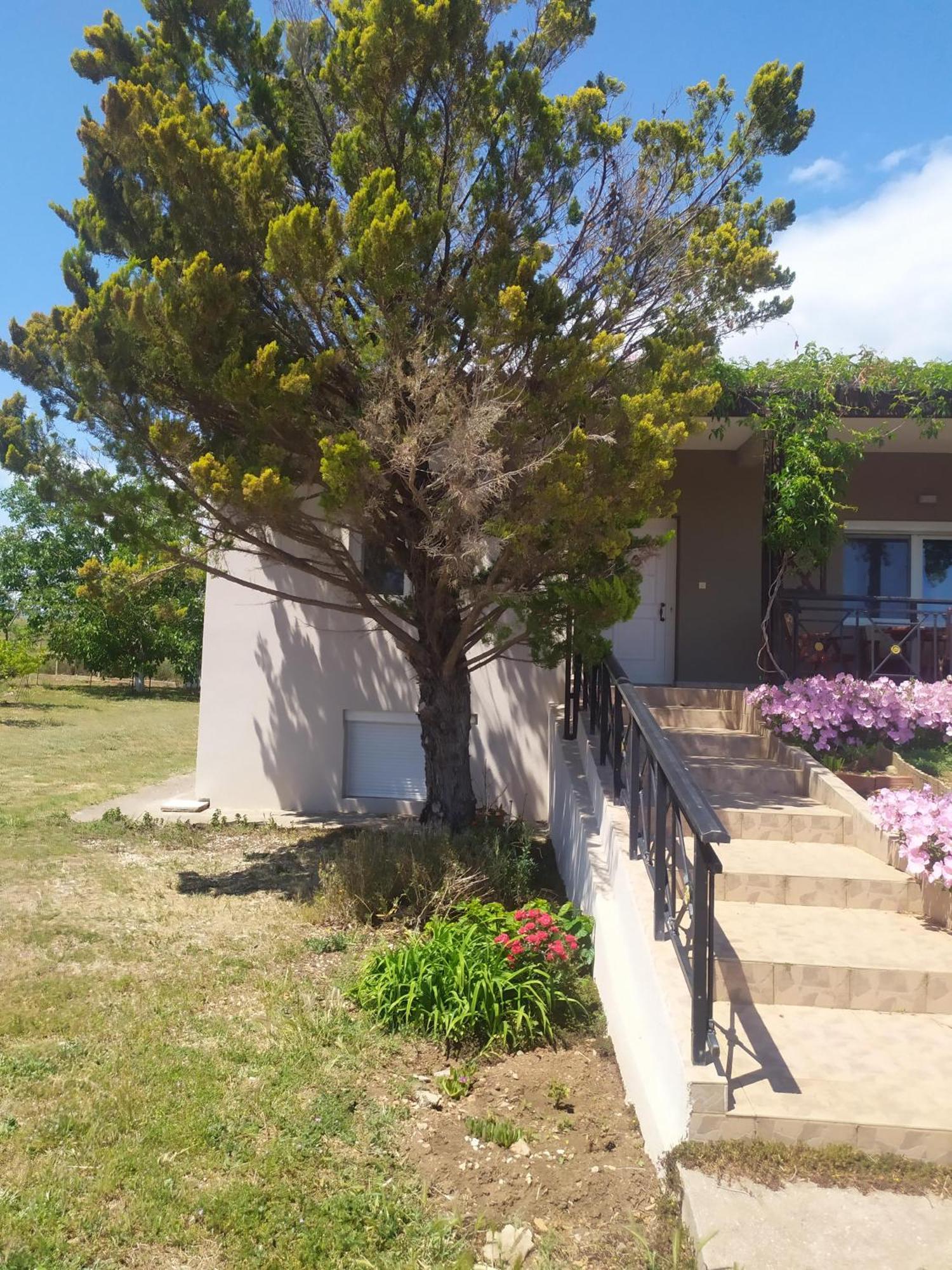 Hill View 4 Villa Alexandroupoli Exterior photo